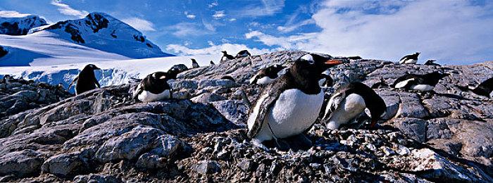 《宝可梦GO》调整补给站范围惹恼玩家 厂商紧急回应