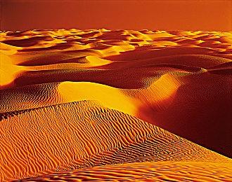 玩家又一次认为自己掌握了《半条命3》的证据